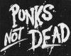 Ekran Punk\'s Not Dead
